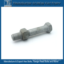 Hot Dipper Galvanized Bolt Nut